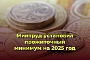 Председатель правительства Михаил Мишустин подписал постановление об установлении величины прожиточного минимума на душу населения на 2025 год.